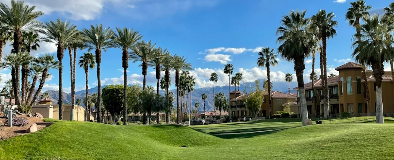 Palm trees, green hills, and residential buildings reflected in a pond under a blue sky with clouds.