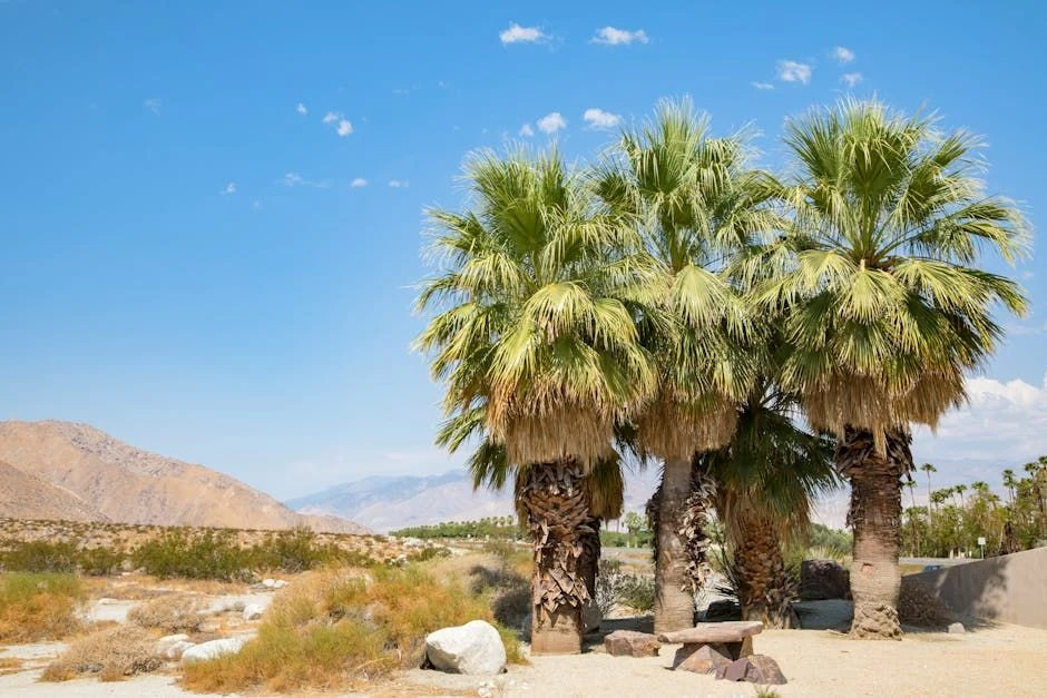 How Palm Desert Businesses Can Build a Cybersecurity Strategy That Actually Works