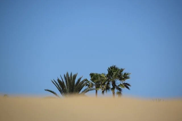 The Cybersecurity Checklist Every Palm Desert Business Should Follow
