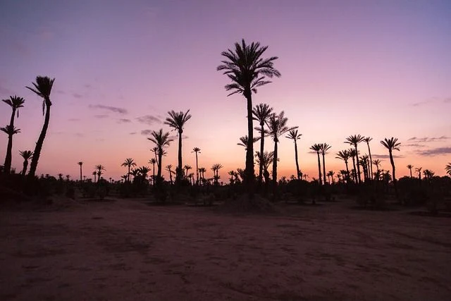Why Palm Desert Businesses Are Becoming Prime Targets for Cyber Attacks